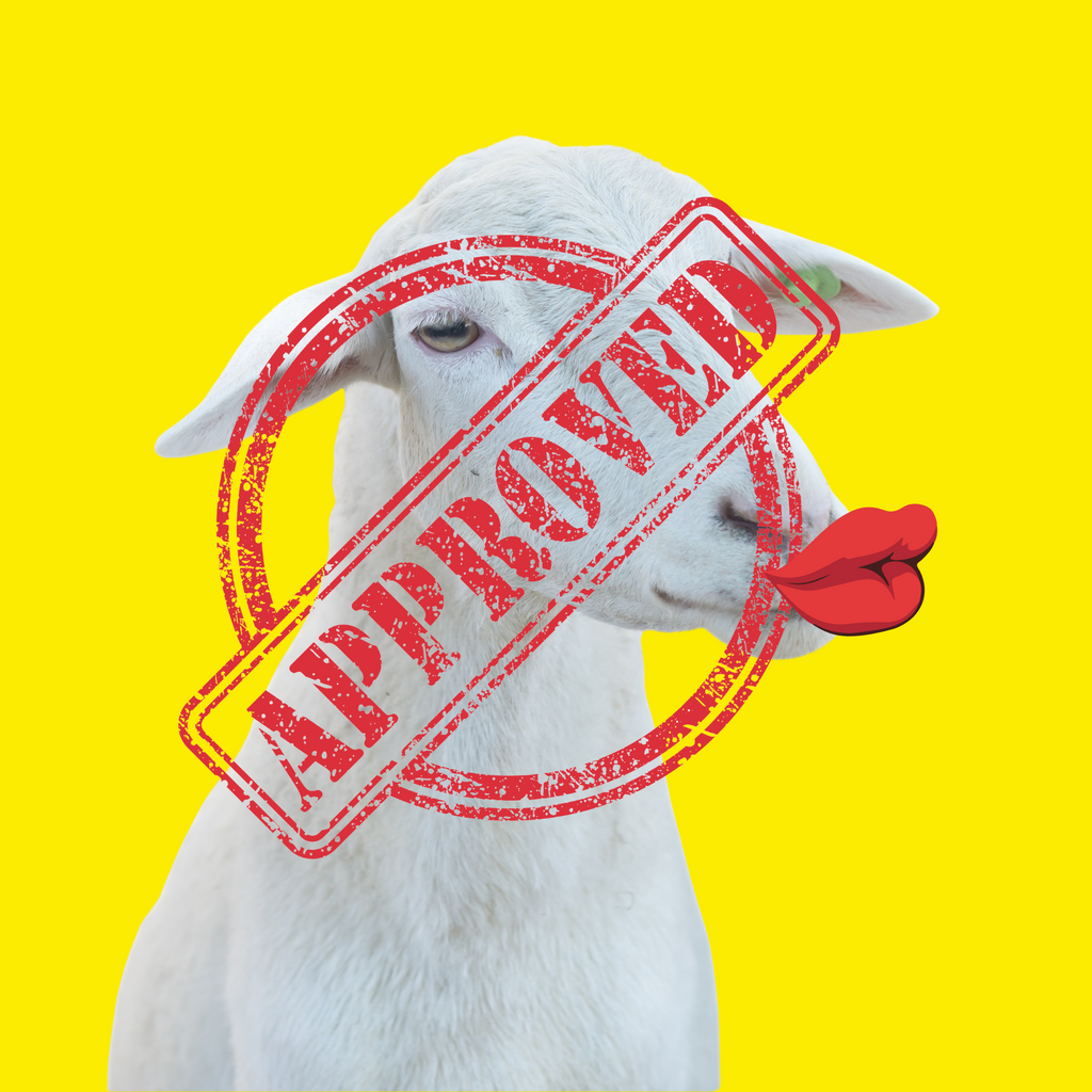 T-shirt “Pecorina” – Eleganza ubriaca e malizia fermentata