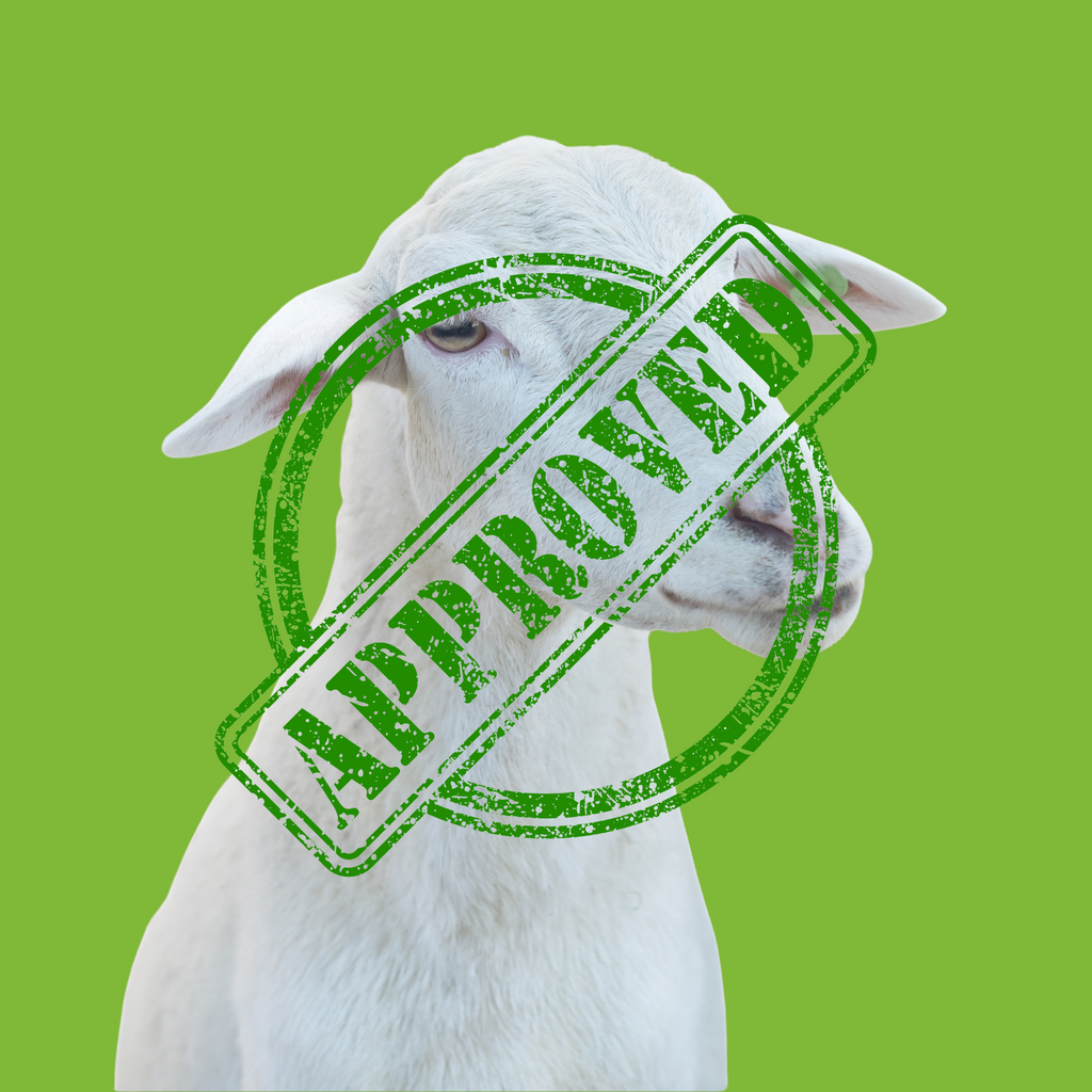 T-shirt “Pecoroni” – La sbornia è culturale