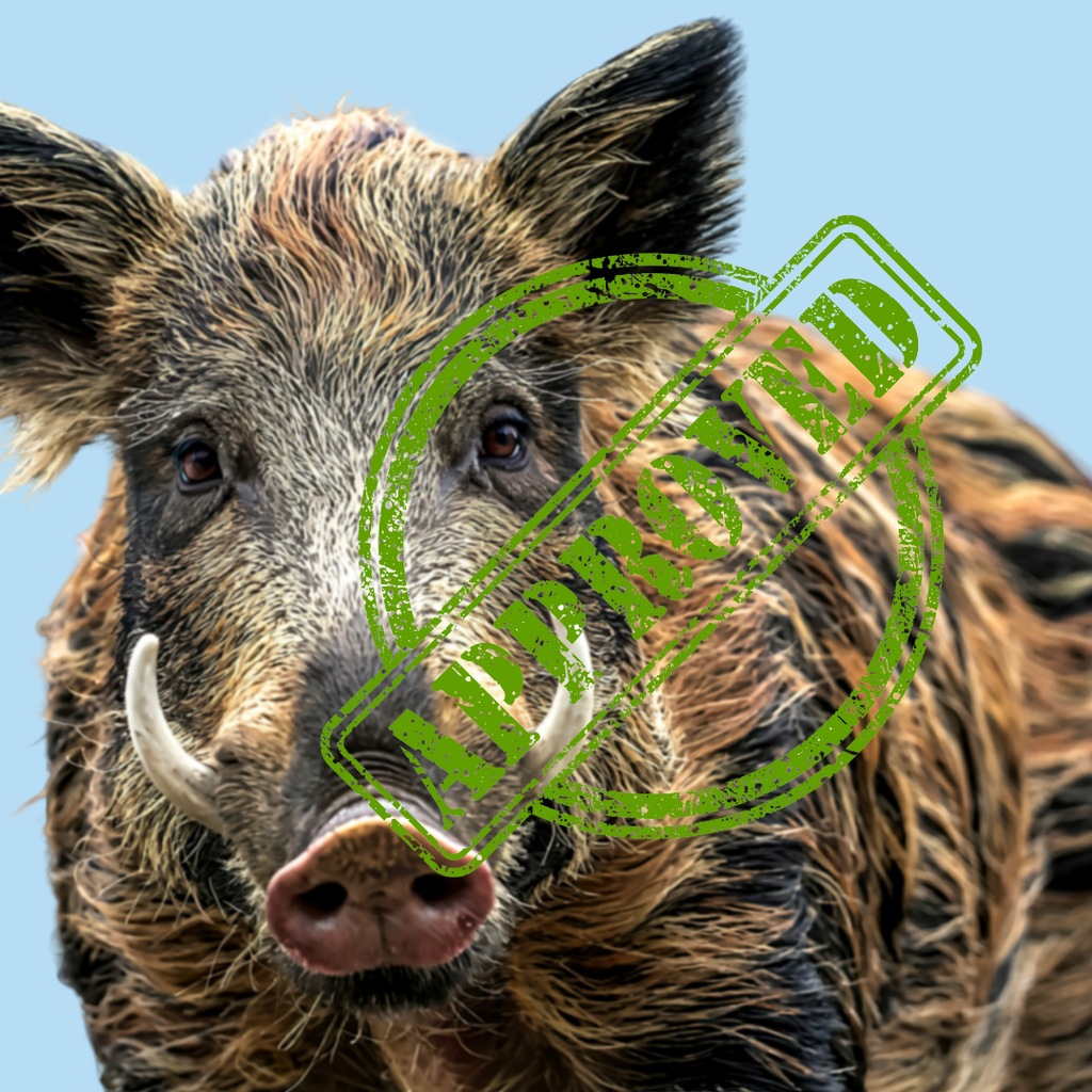 T-shirt “ADDENTI!” – Quando il pericolo è reciproco